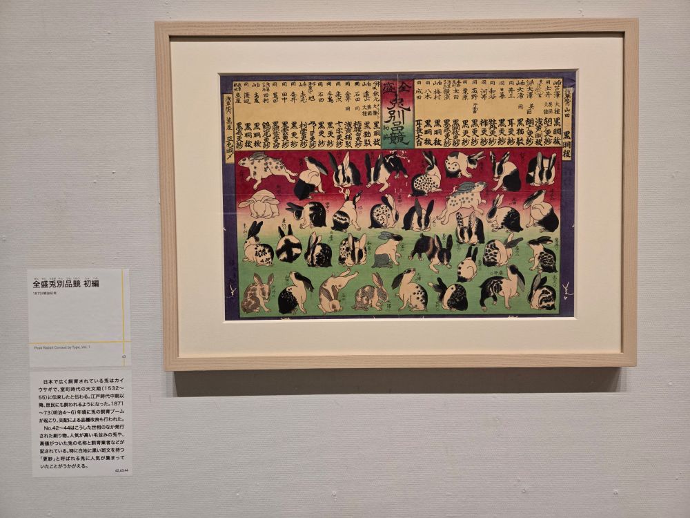 愛知県美術館
どうぶつ百景
全盛兎別品競 初編