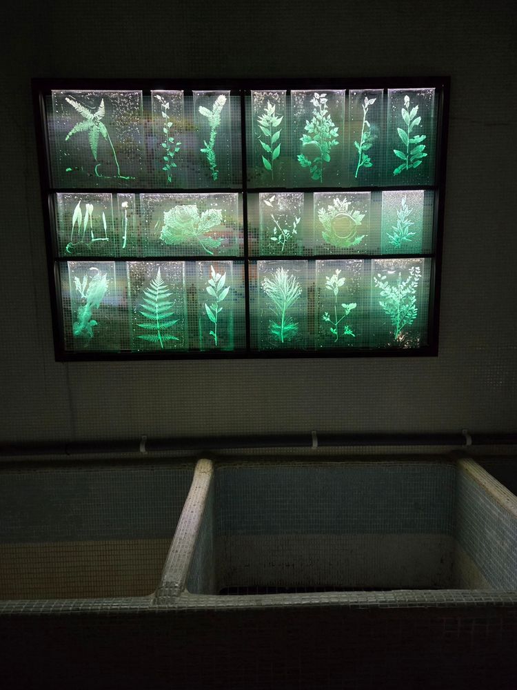 国際芸術祭あいち2025
瀬戸市のまちなか会場
旧日本鉱泉