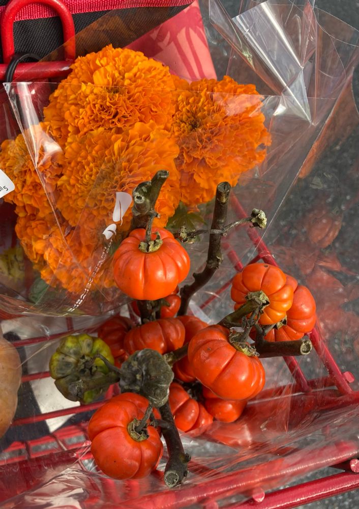 a bouquet of marigolds, and several branches of ornamental ‘pumpkins’, which are apparently eggplants