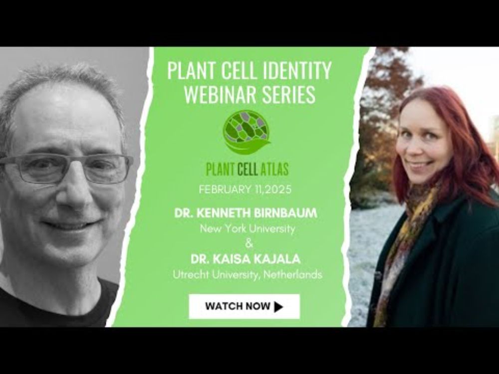 Plant Cell Identity Webinar Series - Dr. Kenneth Birnbaum and Dr. Kaisa Kajala