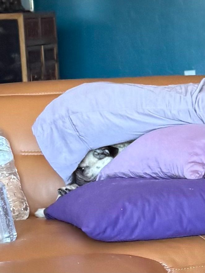 The same setup as the previous photo, but now he’s facing away, looking at a bottle of water. 