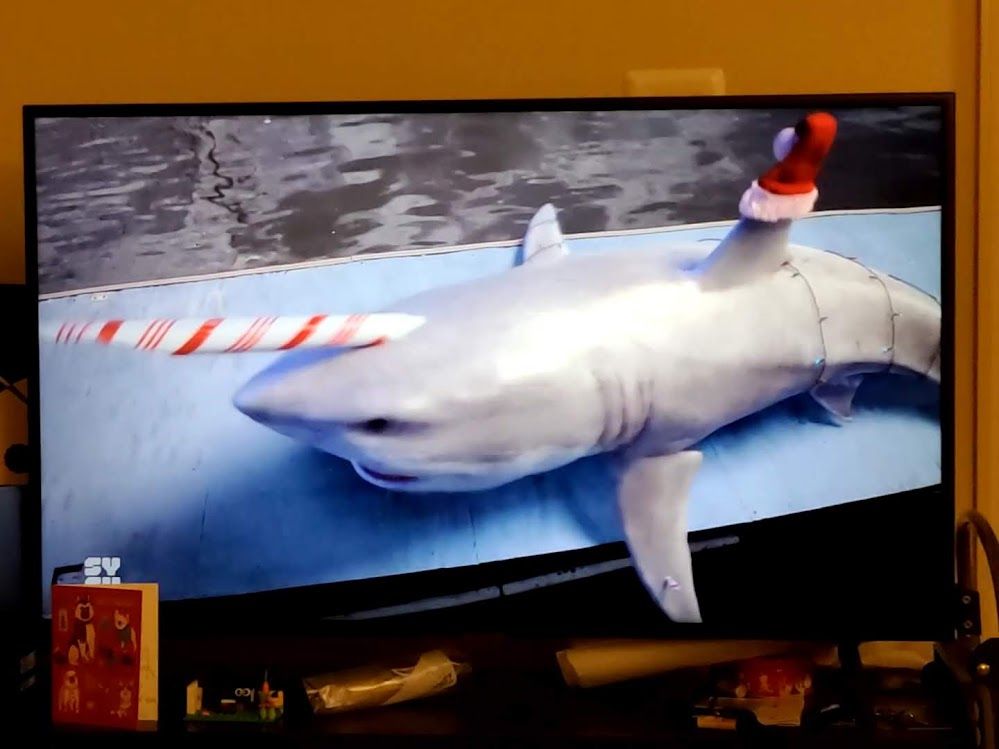 Screenshot of TV screen showing a great white shark with a candy cane horn on its head, a santa hat on its dorsal fin, and christmas lights wrapped around its tail.