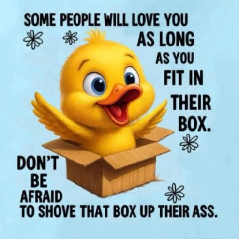 I happy yellow chick in a cardboard box saying in all capital letters “SOME PEOPLE WILL LOVE YOU AS LONG AS YOU FIT IN THEIR BOX.
DON'T BE AFRAID TO SHOVE THAT BOX UP THEIR ASS.”