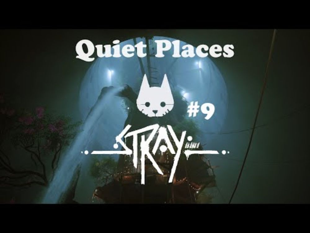 Quiet Places: Stray 9