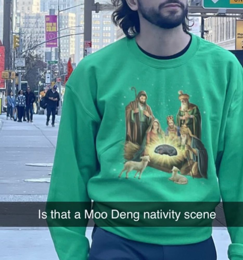 Moo Deng Pygmy hippo 