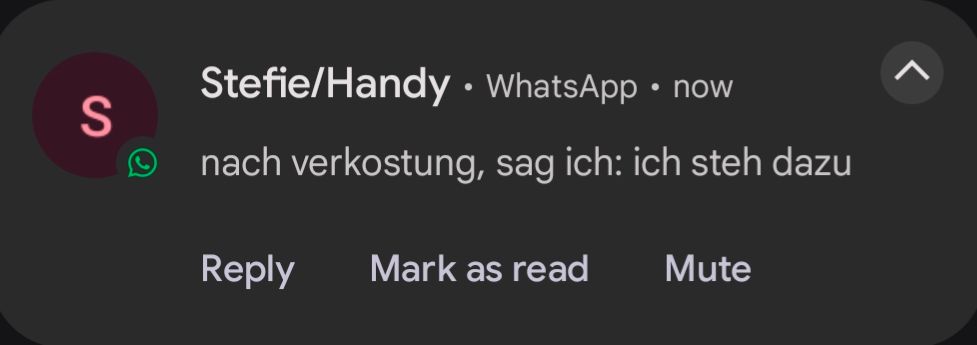 Stefie/Handy WhatsApp now

S

nach verkostung, sag ich: ich steh dazu