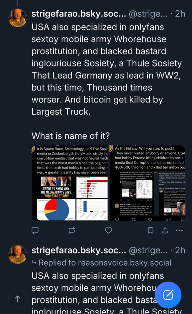 The following is text from a screenshot of a Bsky post: 

USA also specialized in onlyfans sextoy mobile army Whorehouse prostitution, and blacked bastard inglouriouse Sosiety, a Thule Sosiety That Lead Germany as lead in WW2, but this time, Thousand times worser. And bitcoin get killed by Largest Truck.

What is name of it?