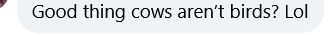 Screenshot of a Facebook comment that says "Good thing cows aren’t birds? Lol"