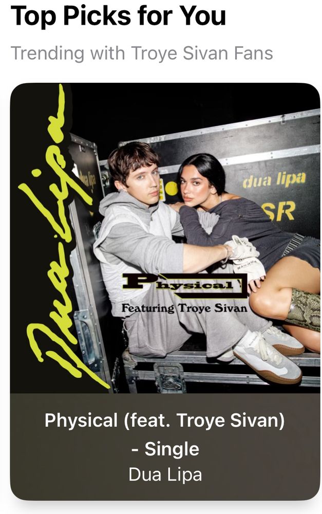 A newly released song by Dua Lipa and Troye Sivan. 