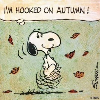 snoopy jumping in leaves thinking 'im hooked on autumn!!'