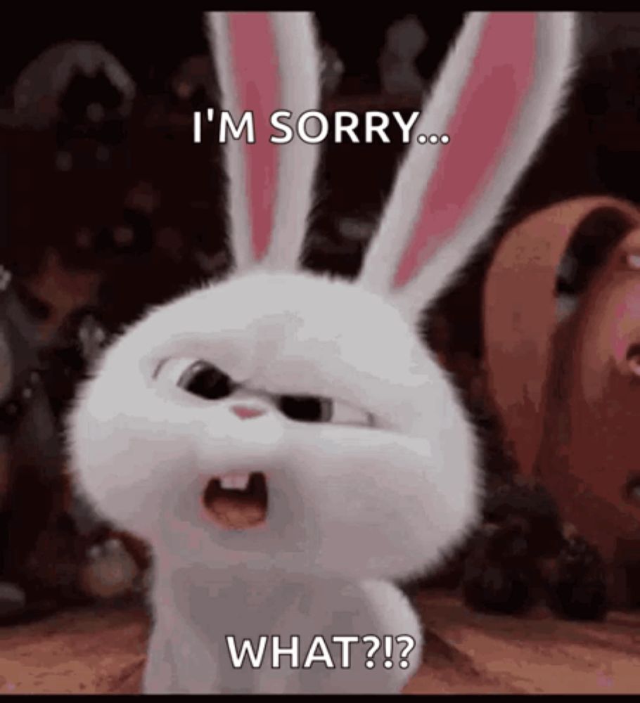 Bunnies What GIF