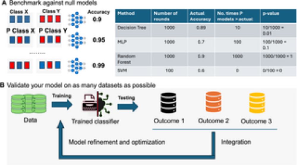 Ten quick tips for ensuring machine learning model validity