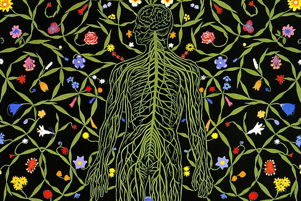 Opinion | Donor Organs Are Too Rare. We Need a New Definition of Death.