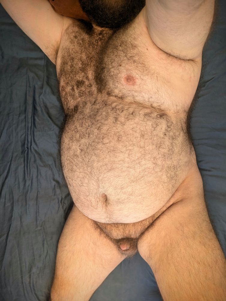 A fat, hairy bear's torso and legs are seen laying on a blue bedspread. They're naked!