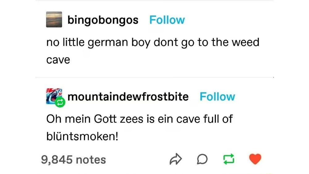 A Tumblr screenshot which reads: 
Bingobongos: "no little german boy don't go to the weed cave"
Mountaindewfrostbite: "Oh mein Gott zees is ein cave full of blüntensmoken!"