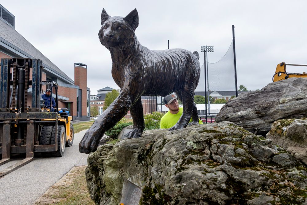 The iconic Bobcat statue has a new home.