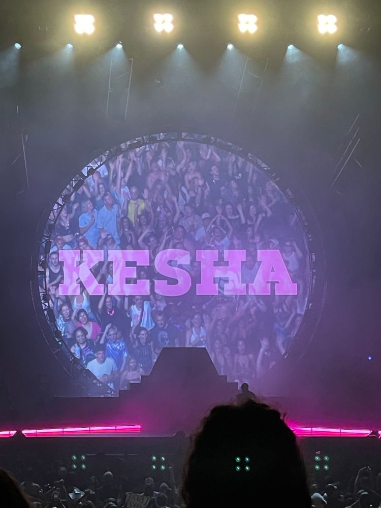 Photo from Kesha’s concert stage. It’s a video feed from the crowd overlaid with Kesha spelled out in pink blocky letters