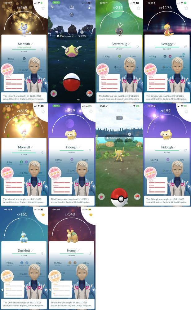 Collage of Pokémon Go screenshots. 
Hundo: Alolan Meowth, Scatterbug, Scraggy, Morelull, 2x Fidough. 
Nundo: Ducklett, Numel. 
Shiny: Dunsparce, Sableye. 