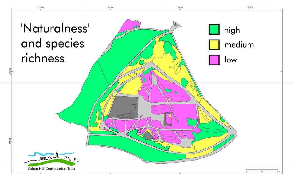 Map of high, medium and low 'naturalness' and 'species richness' (abundance) at Calton Hill, Edinburgh, 2025