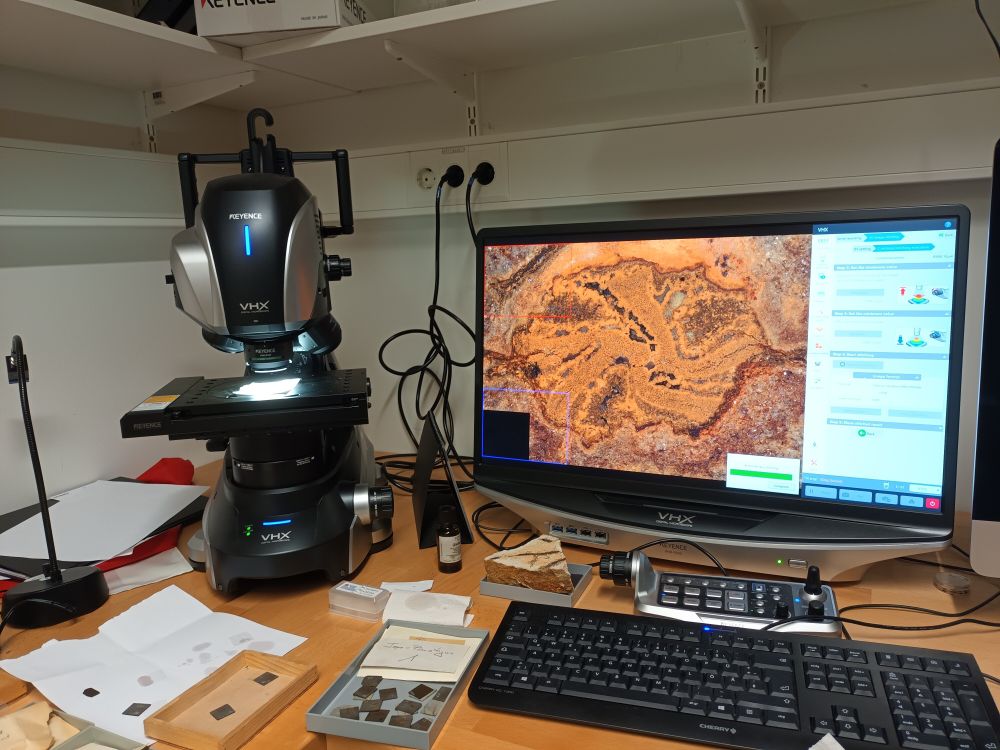 Digital microscope photographing a five-armed vascular strand in a fossil stem cross section. Specimen sections in boxes on the table next to microscope controls, a keyboard and a monitor displaying a compisite image of the fossil.