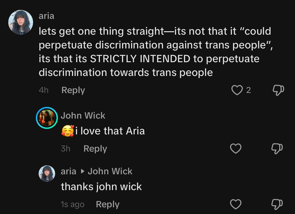 tiktok comment section:
me: lets get one thing straight—its not that it "could perpetuate discrimination against trans people", its that its STRICTLY INTENDED to perpetuate discrimination towards trans people
john wick: I love that Aria
me: thanks john wick