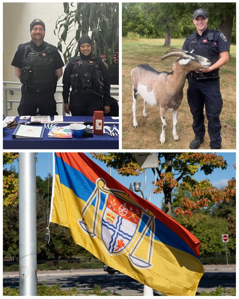 Photograph collage featuring By-law and Regulatory Services officers from a variety of roles, including public information, parking enforcement, animal control and business licensing.