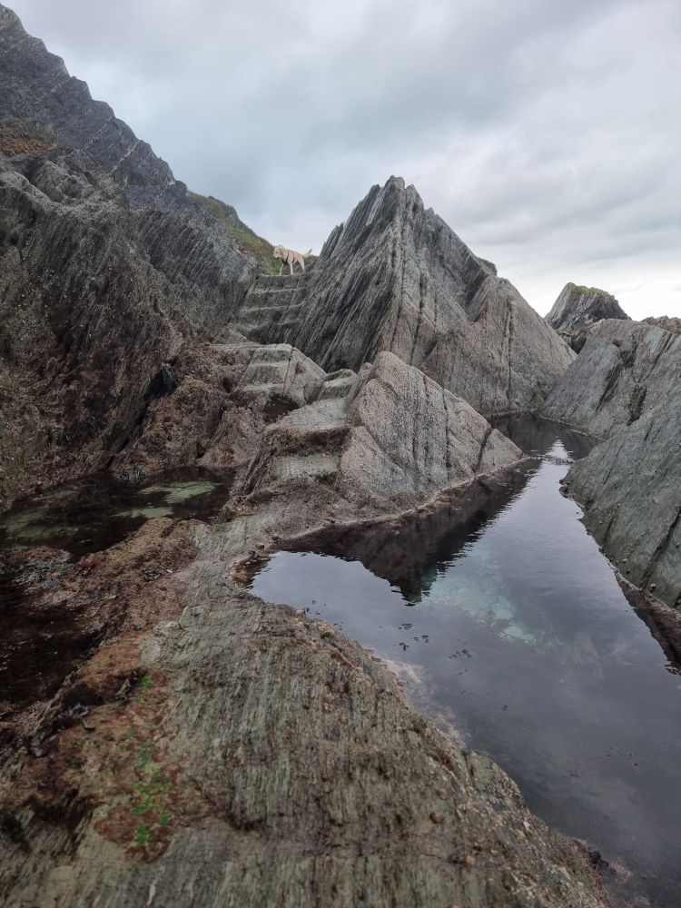 Steps cut into rocks with a rock pool on the right at Lee Bay, Devon.