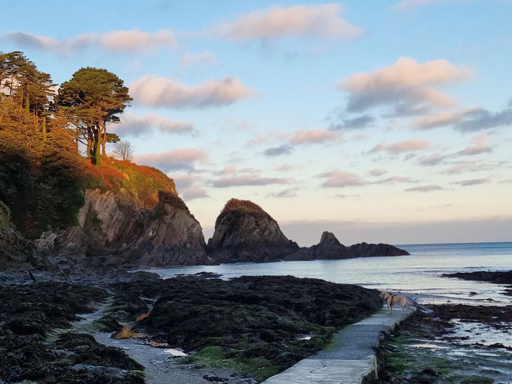 Beach with path leading to a flat sea with tree lined cliffs in the background. Blue sky with grey blue skys