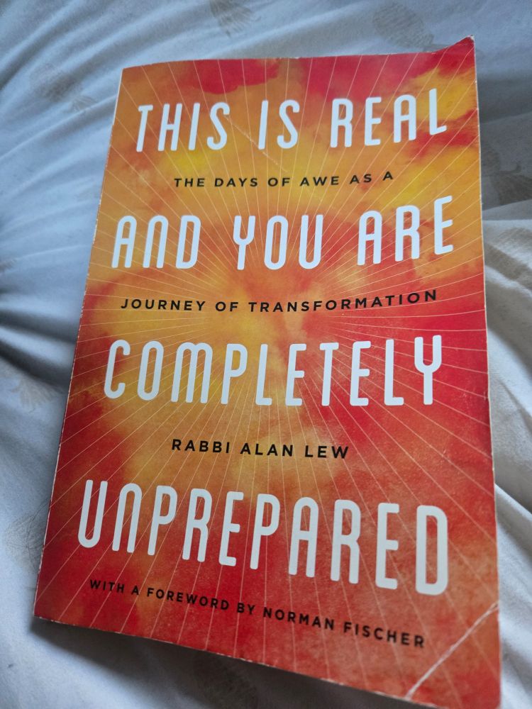 The cover of the book This Is Real And You Are Completely Unprepared by Rabbi Alan Lew (the days of awe as a journey of transformation)