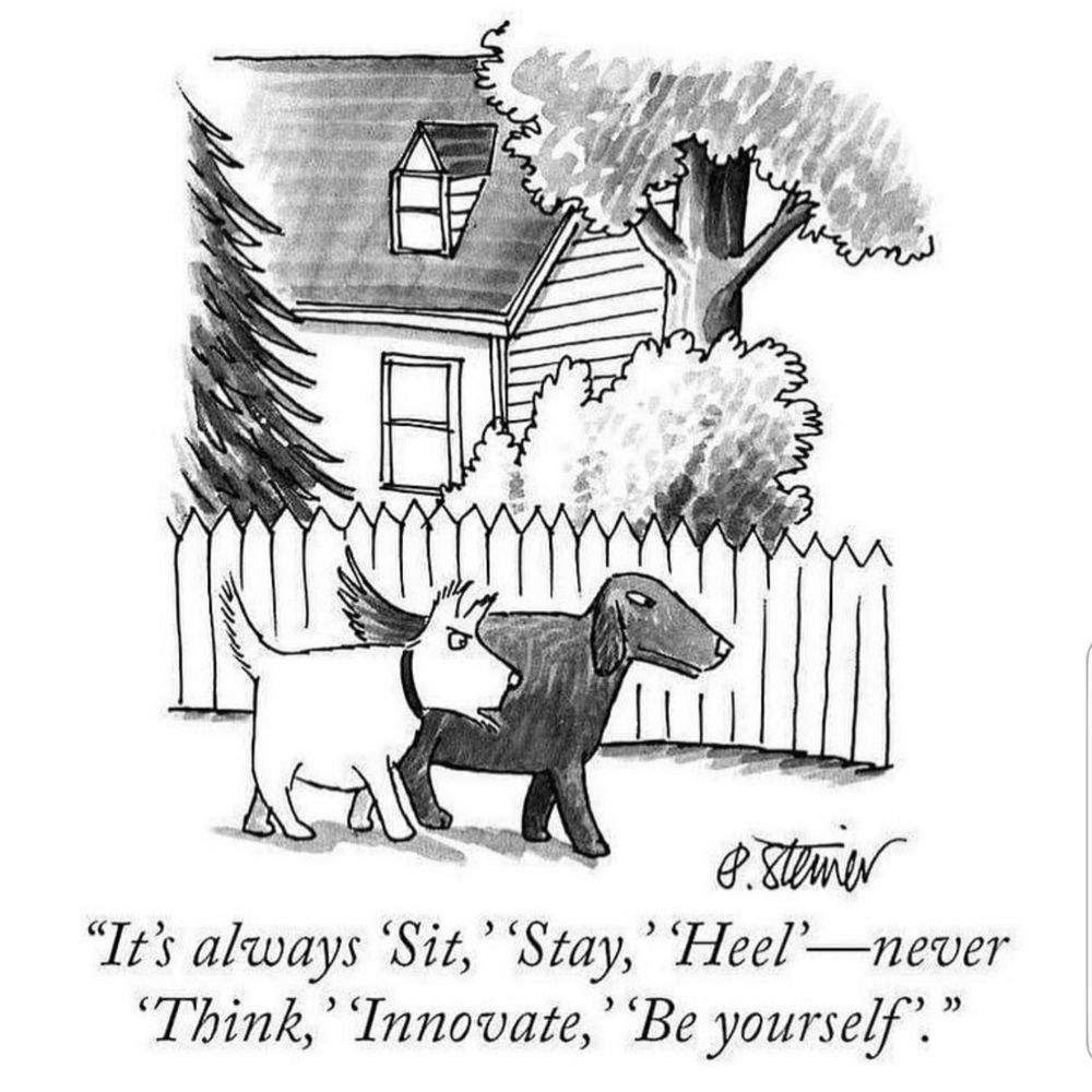 Two dogs chatting while walking along a fence. One dog complains, “It’s always “Sit,” “Stay,” “Heel” — never “Think,” “Innovate,” “Be yourself”.” 