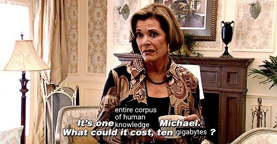 Scene from arrested development but edited to say "It's one entire corpus of human knowledge, Michael. What could it cost, 10 gigabytes?"