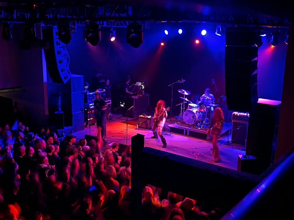 Die Spitz performing on stage