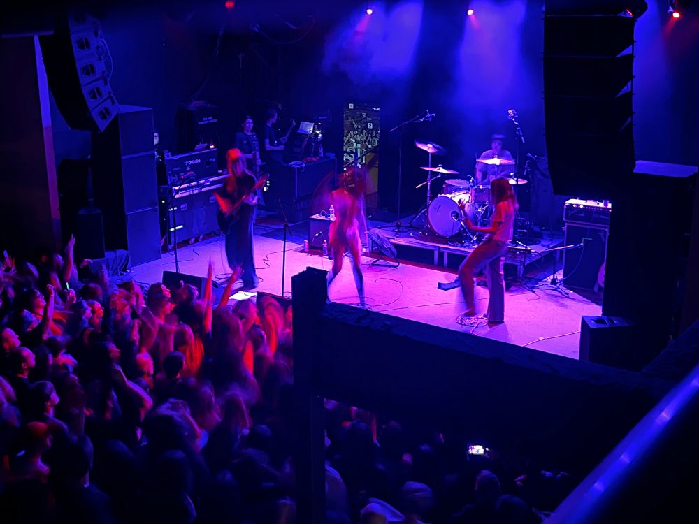 Die Spitz performing on stage