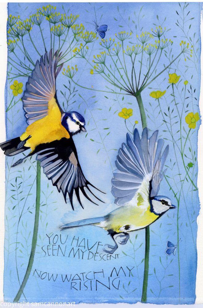 Two Bluetits in flight. With Dill and buttercups, common blue butterflies and words by Rumi.