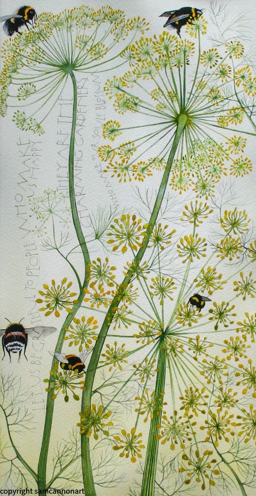 Dill and bees