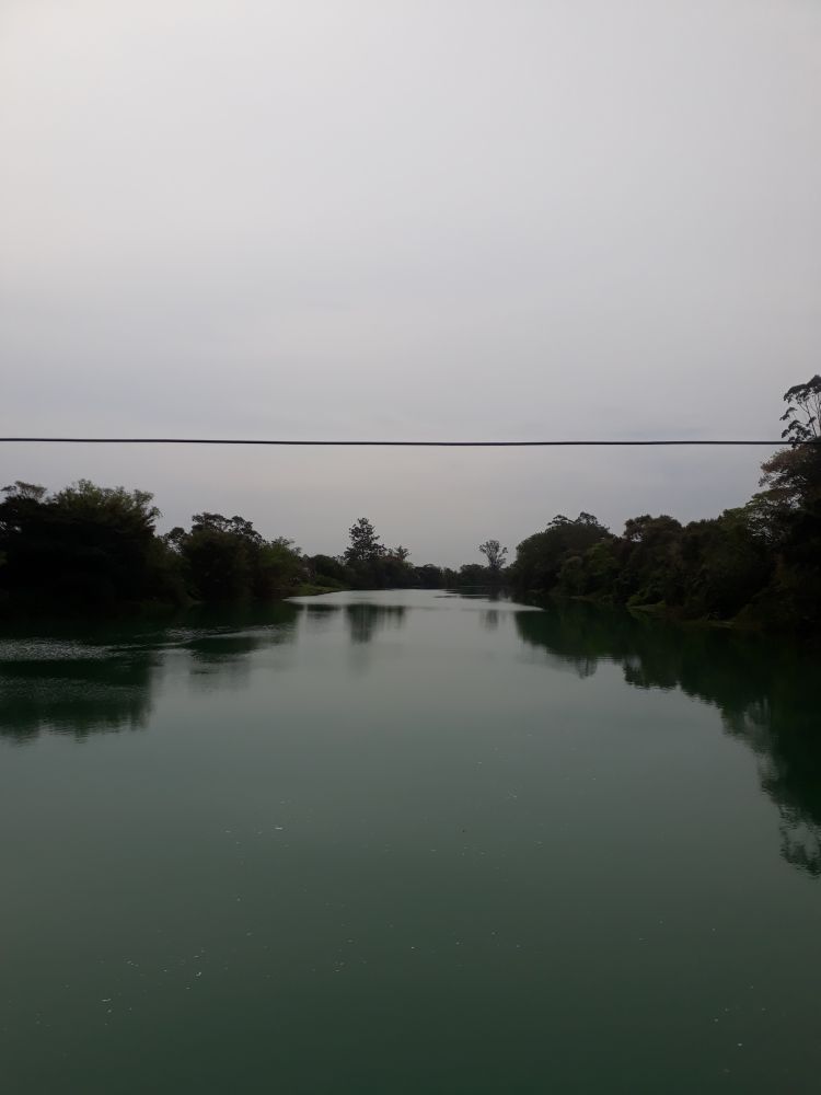 vista do rio a partir de uma ponte, mata ciliar dos dois lados, céu nublado