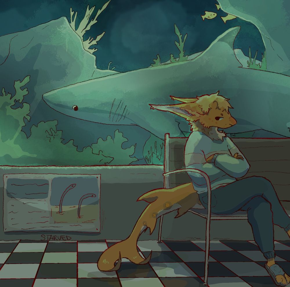 a shark person at the aquarium- they are looking at the shark in the tank behind them inquisitively. in turn, the shark is looking back, equally intrigued. the shark person is sitting on a bench, next to which is an information board with little creatures that live on the sand in it. 