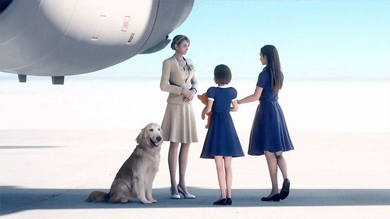 The 2D dog from Ace Combat 7. They took a photo of a real ass golden retriever and plopped him 2D, right into a 3D game.