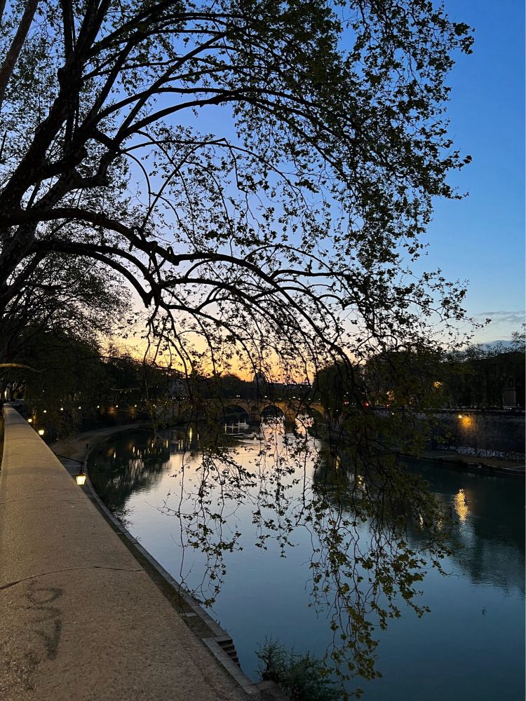 Kuva roomalaiselta sillalta kohti iltaruskoa joka kuvastuu Tiber-joen veteen. Puu kaartuu kohti jokea.