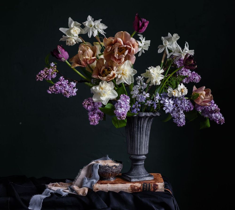 A square-ish dark floral still life image. A dark classical shaped fluted stoneware vase sits on a vintage distressed leatherbound book, on a surface covered in draped black suede. Frayed ribbons of periwinkle blue and cream cascade over the book from the edge of a small silver bowl, the ribbons leading the eye from the lower left of the image up to the vase and upwards to a large spray of blooms. 
The floral arrangement is a loose wedge shape bordered by lilacs on the bottom leading line and by white daffodils on the top outline. Large double petaled tulips of rich mauvey pink cluster together at the top center of the photo, drawing the eye into its round petals and depth.