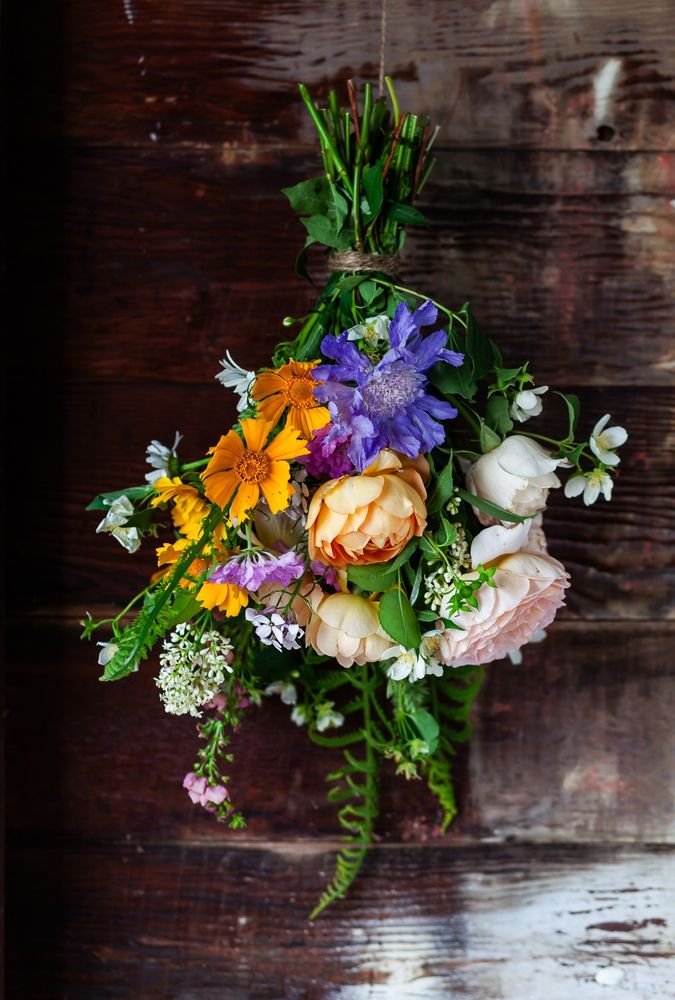 A vertical image of a garden bouquet hanging upside down against a rustic wood wall. The bouquet is full of roses of various colors and forms, accompanied by deep orange coreopsis, a large open-centered blue scabiosia, young ferns, mock orange, and privet blooms.
