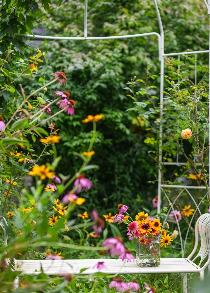 A shallow-focus vertical garden environment image. A white metal bench and white metal arbor frames the picture, along with pops of pale pink and bright orange of coneflower and rudbeckia crowding into the foreground and background.
In sharp focus to the lower-right of the image, a glass pitcher overflows with rudibeckia, coneflower, and small orange zinnias.