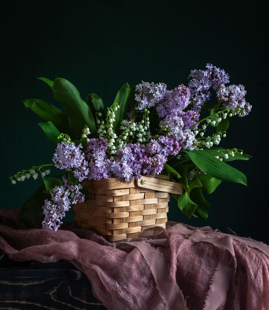 A vertical image of a floral arrangement on a dark green background, lit from the right side with soft shadows on the left. The arrangement sits on a mauve colored gauzy fabric with matching frayed chiffon ribbon, draping over a distressed black wood pallet. 
The arrangement is placed in a traditional square wood woven basket and is turned at an angle so that a corner faces the camera. Out of the basket spills an abundance of lily of the valley foliage and lilacs in an icy blue color. The shape of the design makes a central downward arc of lilacs, with sprays of lilac tapering off both sides. It makes a vague dragon or seahorse shape against the lush green leaves of the lily of the valley.
