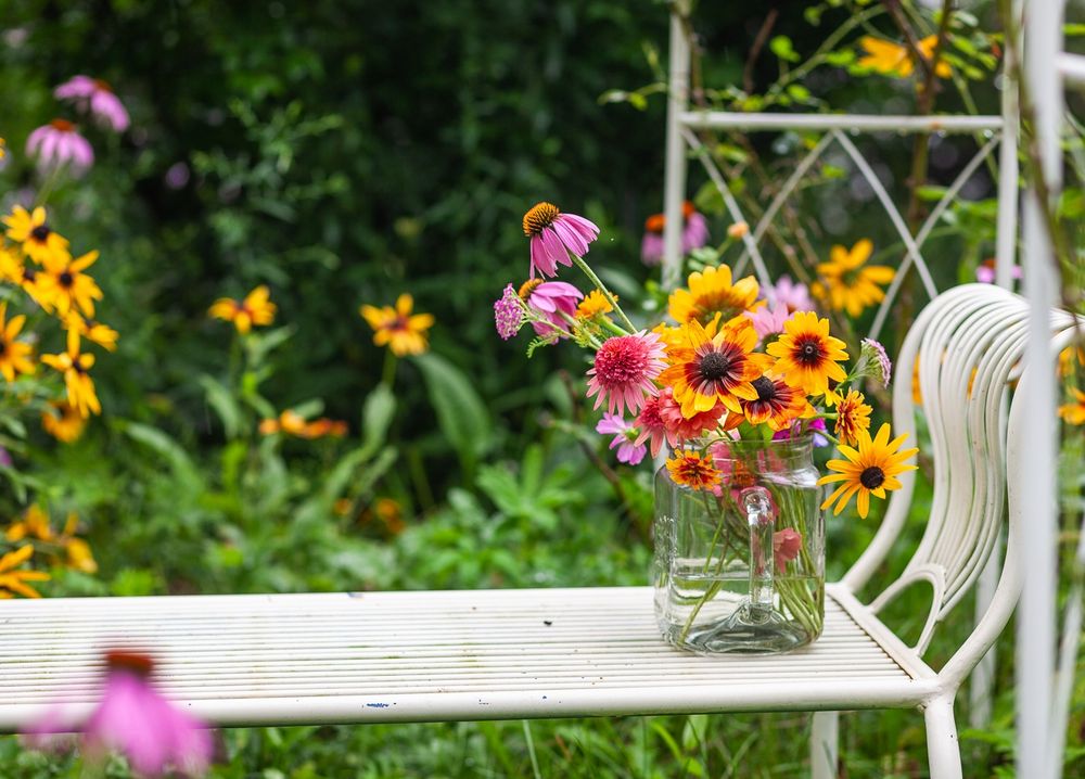 A shallow-focus garden environment image. A white metal bench and white metal arbor frames the focus of the picture, along with pops of pale pink and bright orange of coneflower and rudbeckia in the foreground and background.
In sharp focus to the center-right of the image, a glass pitcher overflows with rudibeckia, coneflower, and small orange zinnias.