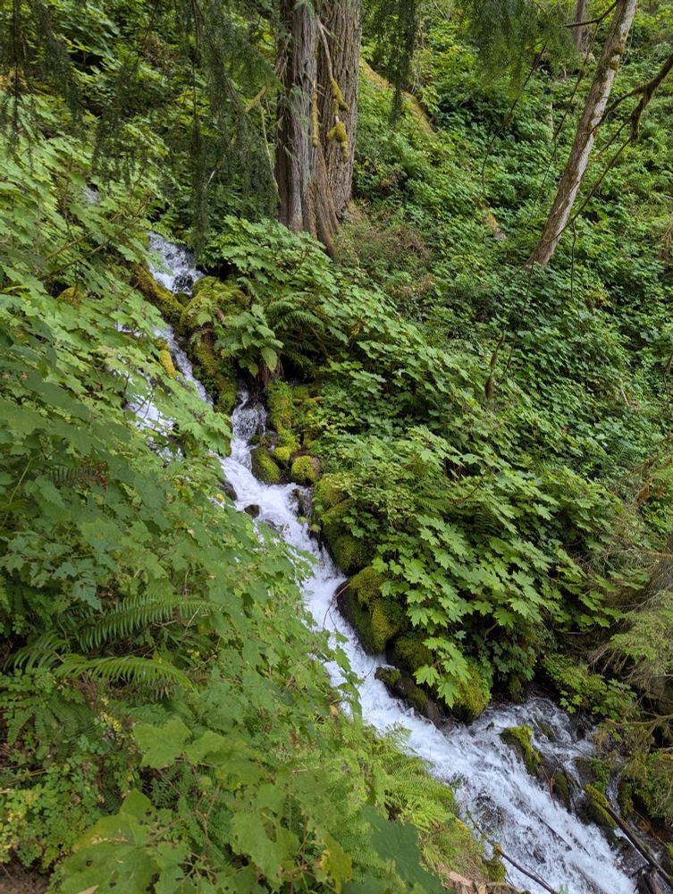 waterfall in a lush forest setting 