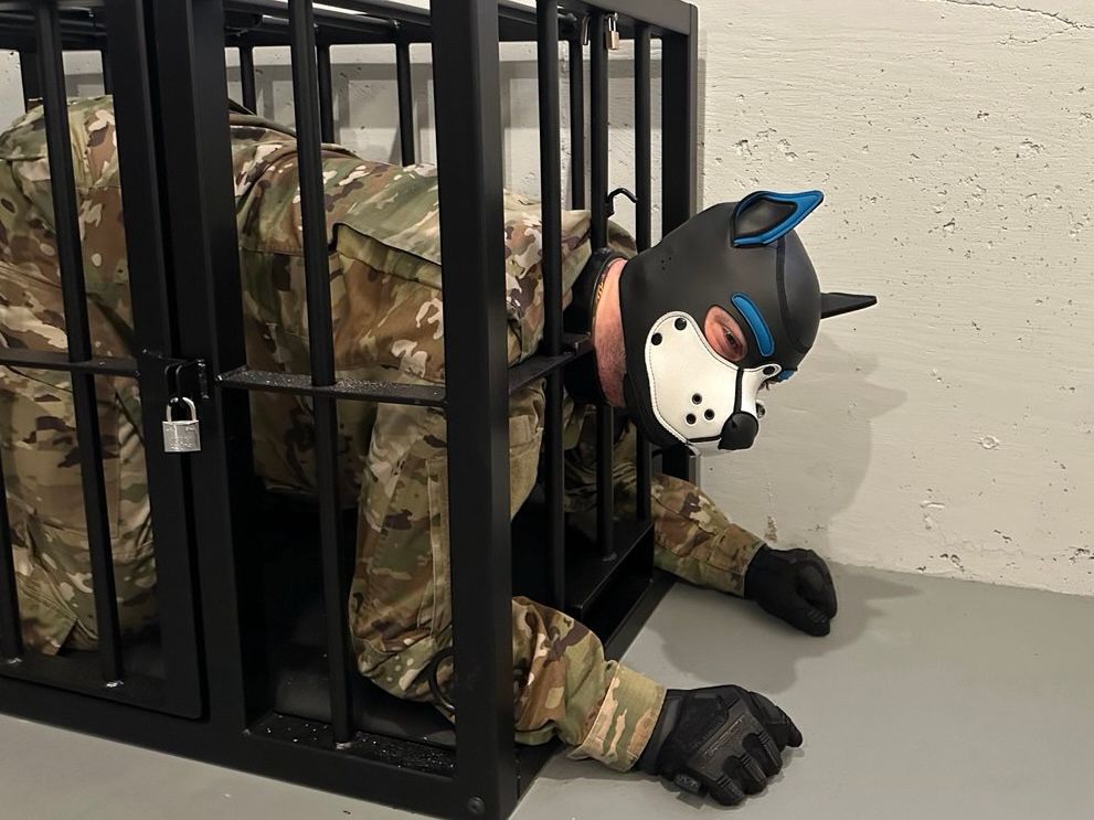 Tactical gear-wearing human pup finds himself locked in a dog crate with his head and hands sticking out
