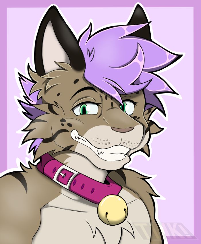 A bust portrait of Olly the Clouded Leopard