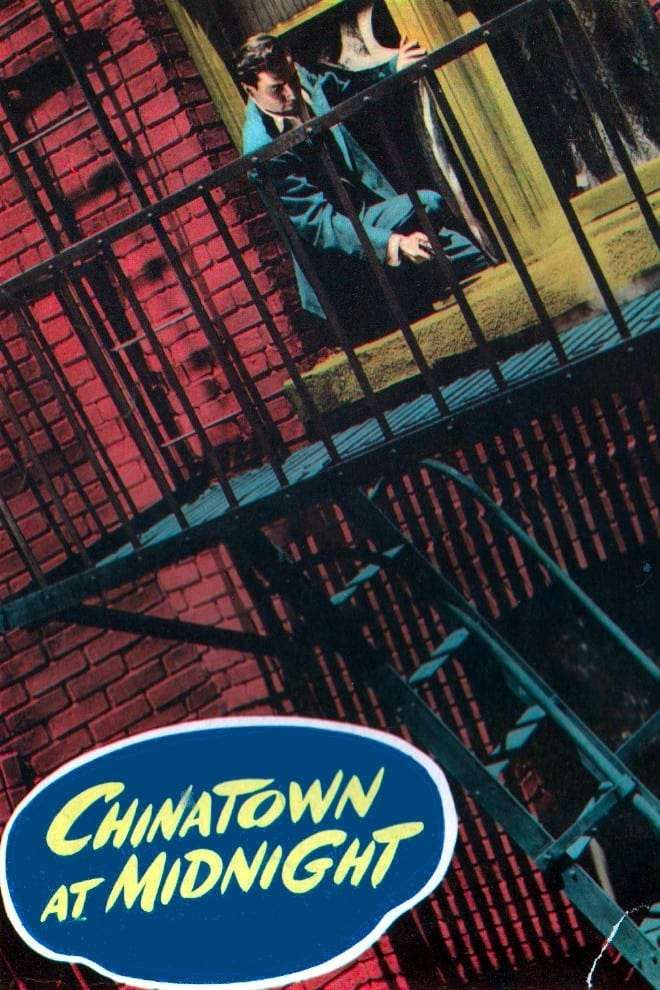 poster for the film chinatown at midnight, which no one has ever heard of 