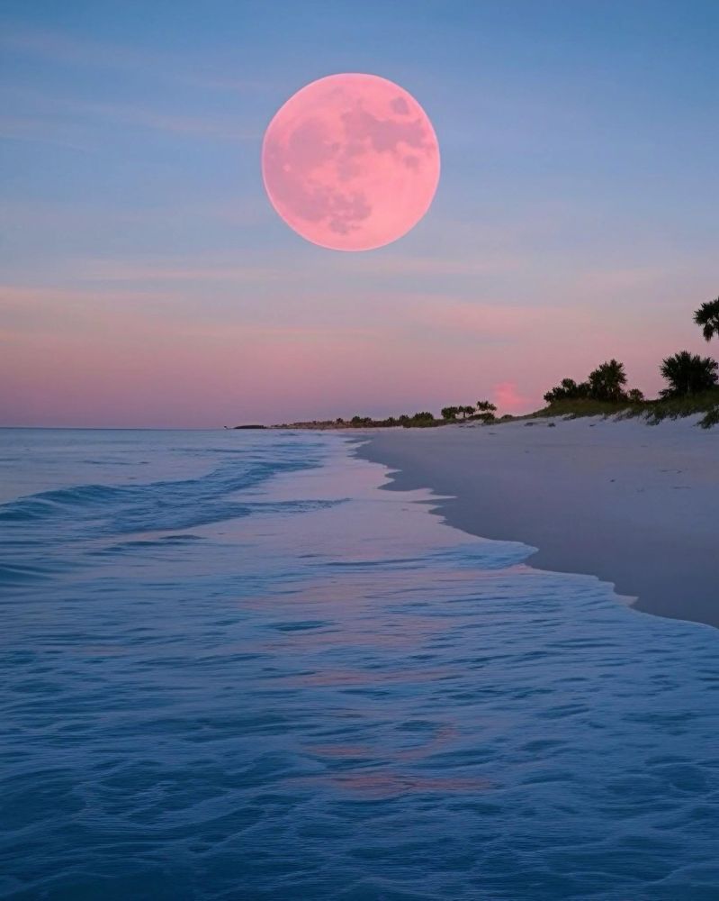 A big pink moon over a beach. 