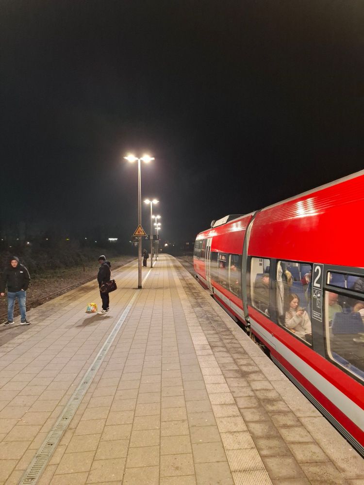 Eine Regionalbahm wartet an einem Bahnhof auf einen entgegenkommenden Zug. 